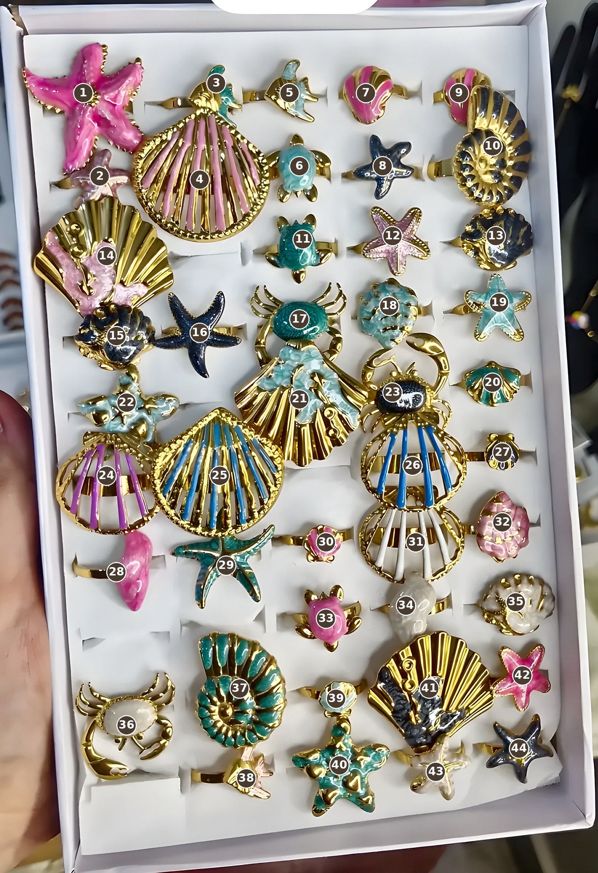 Sea Shell Rings – Tray 3